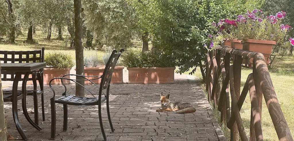 Ristorante @ Agriturismo Le Anfore_Sarteano_slider_image_1