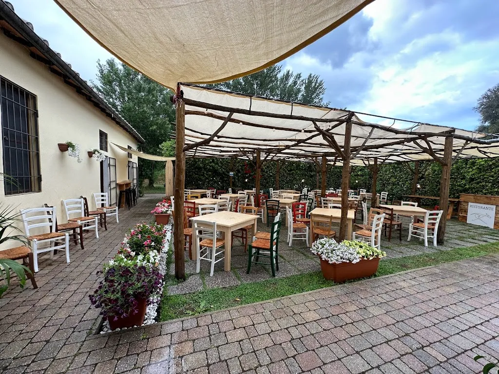 Trattoria da Camilla restaurant in Scarlino
