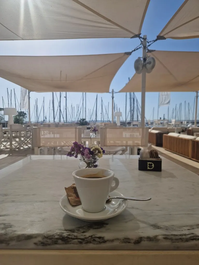 Sara Pisani_Marina Yacht Club_Scarlino_review