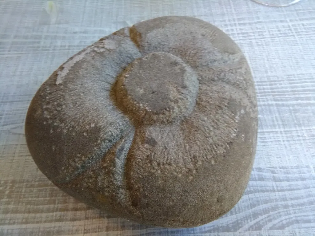 Menu_Il Bistrot Dell'Arco_Serravalle Pistoiese_image_3