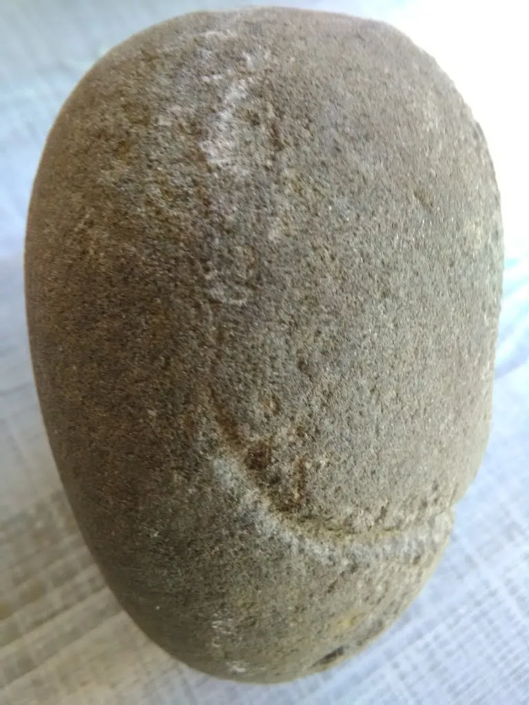 Menu_Il Bistrot Dell'Arco_Serravalle Pistoiese_image_4