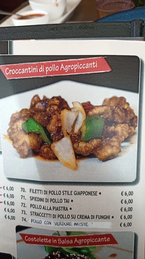 Menu_Ristorante asiatico La Fortuna_Spicchio-Sovigliana_image_1