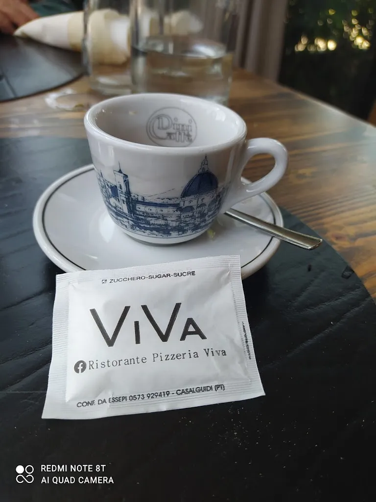 Menu_ViVa Ristorante Pizzeria_Spicchio-Sovigliana_image_8