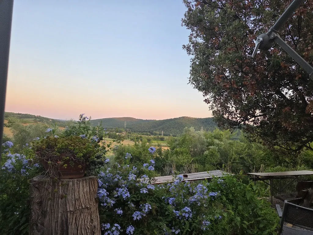 Daniela Rosati_Agriturismo il Palazzotto_Suvereto_recensione