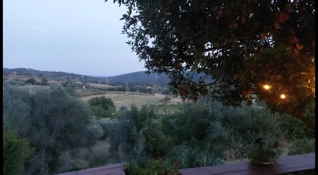 Agriturismo il Palazzotto_Suvereto_slider_image_2