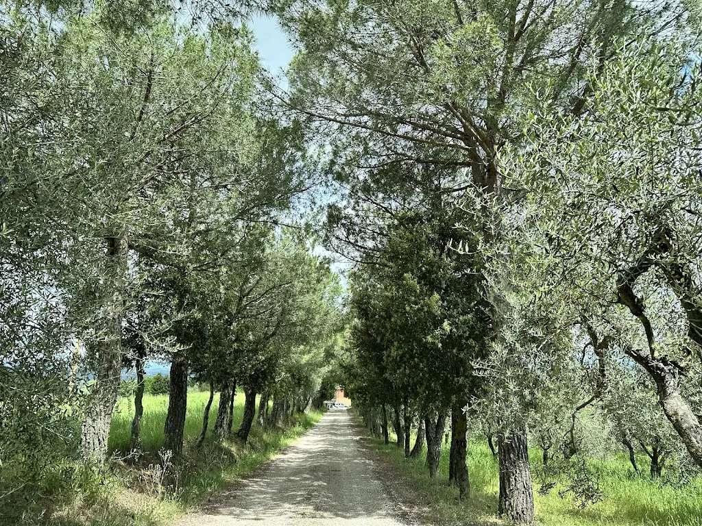 Faron Drayton_Ristorante Pizzeria Le Macine_Torrita di Siena_review