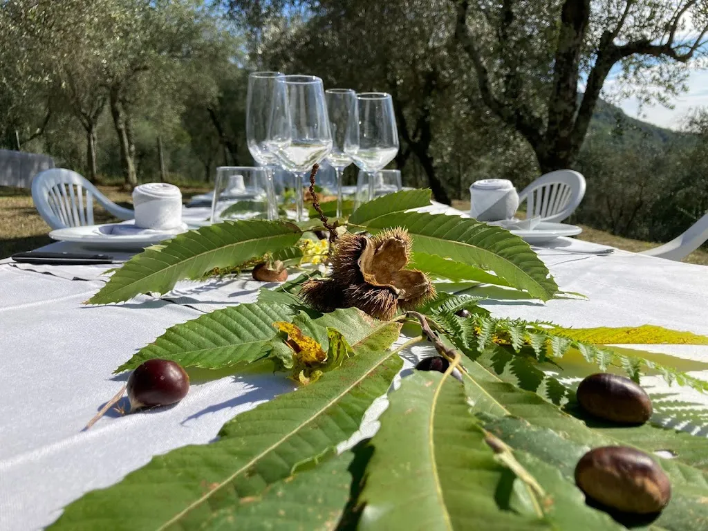 Ristorante Borgo Giusto Tuscany_Valdottavo_slider_image_3