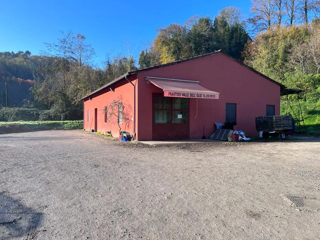 Frantoio Sociale di Valdottavo_Valdottavo_slider_image_3