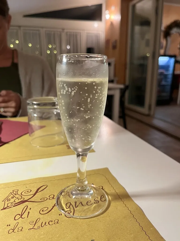 Phyllis Bluemel_Ristorante La casetta di Agnese_Torre del Lago Puccini_review