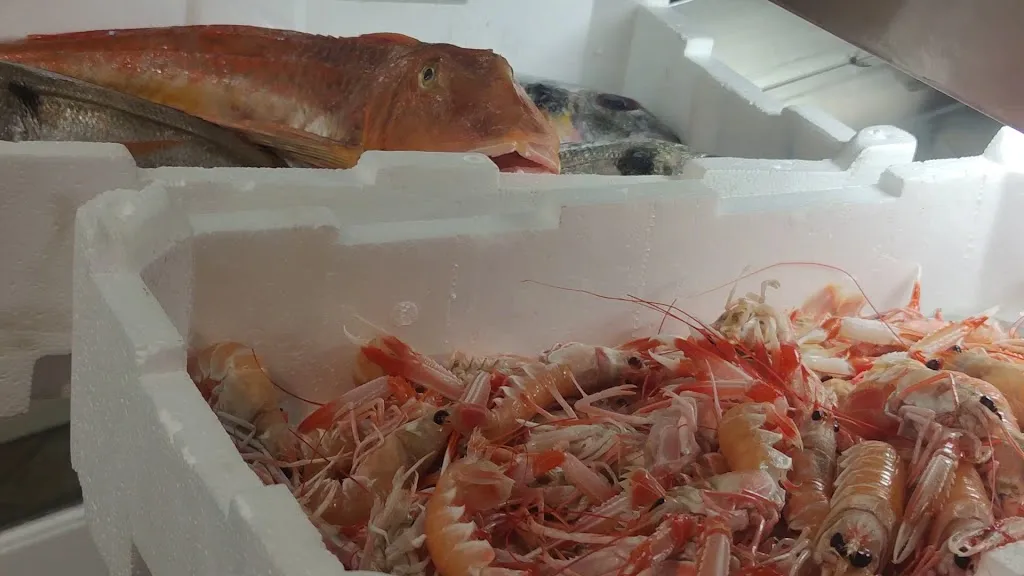 Basilico Fresco Ristorante_Torre del Lago Puccini_slider_image_2