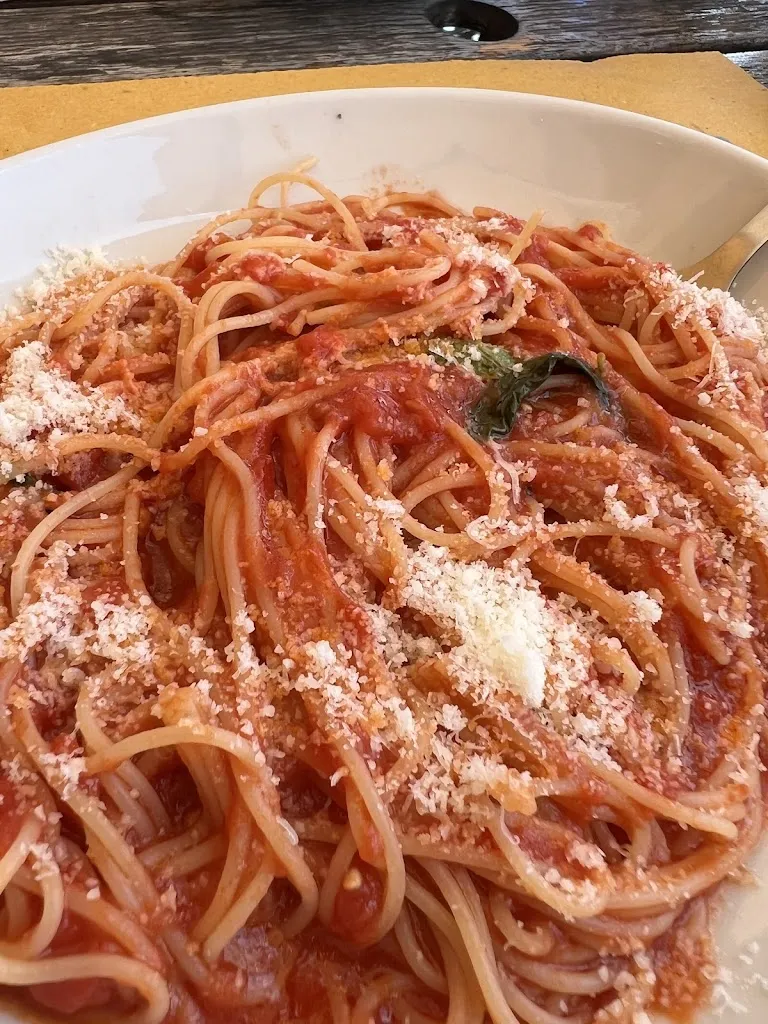 Michel Palmas_Danubio_Torre del Lago Puccini_Bewertung