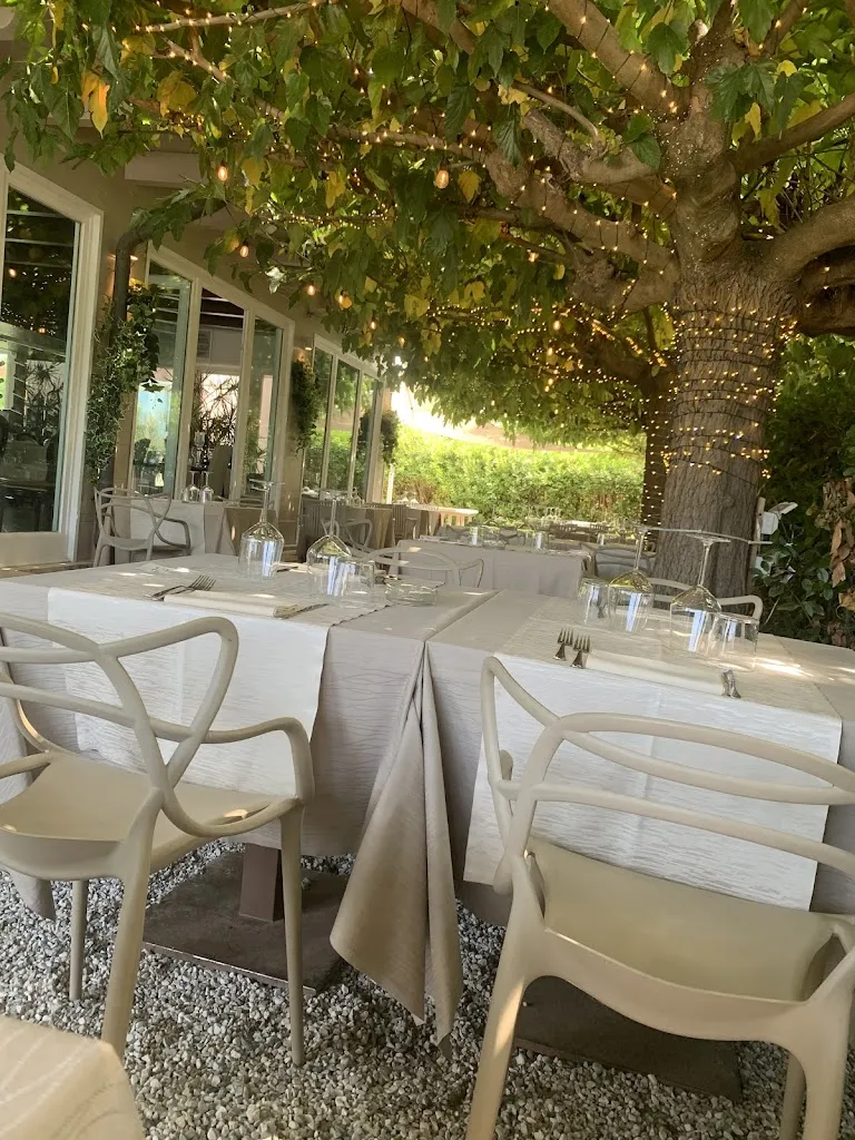 Elefante Marino_Torre del Lago Puccini_slider_image_1