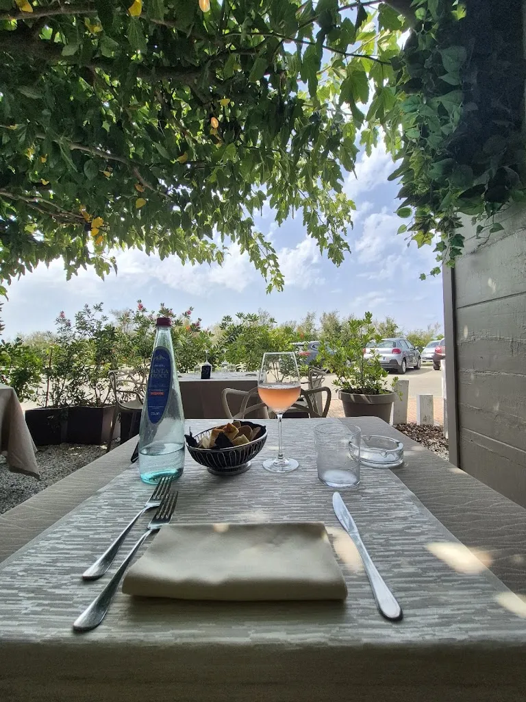 Elefante Marino_Torre del Lago Puccini_slider_image_3