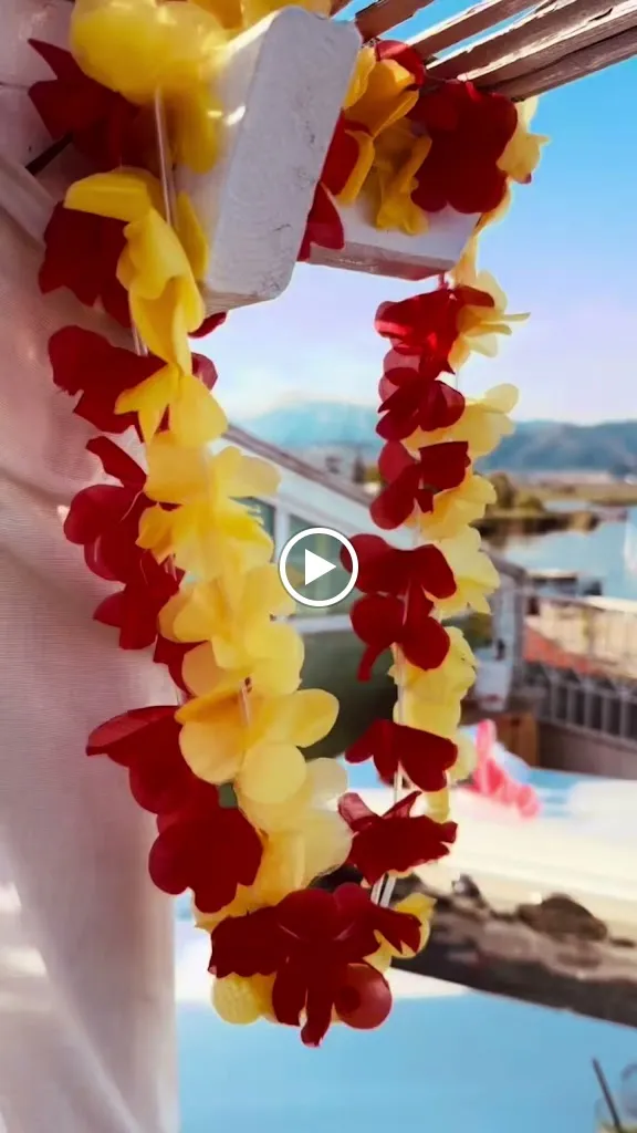 ARYA - Ristorante & Cocktail Bar_Torre del Lago Puccini_slider_image_2