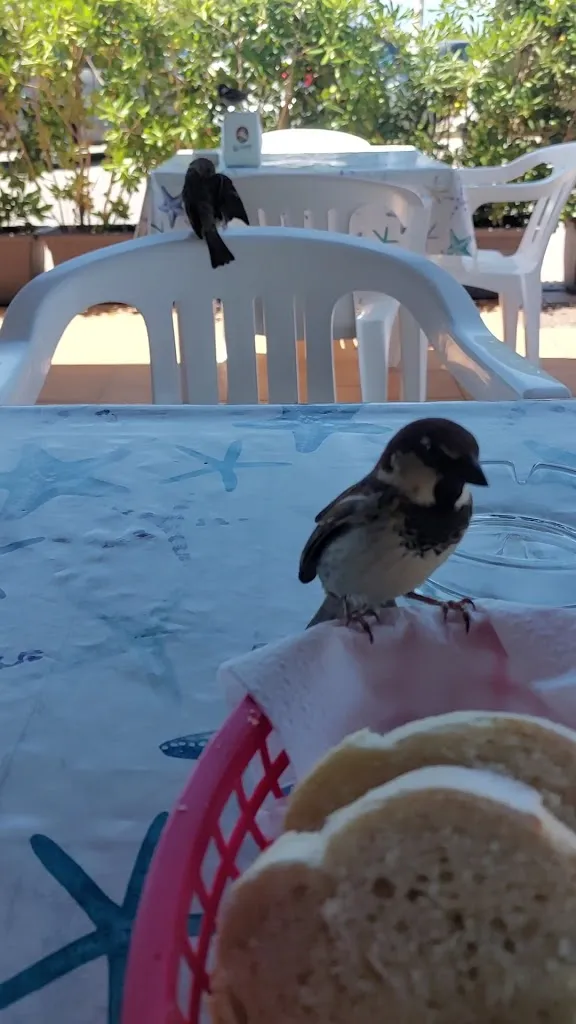 Ristobar & Alimentari 