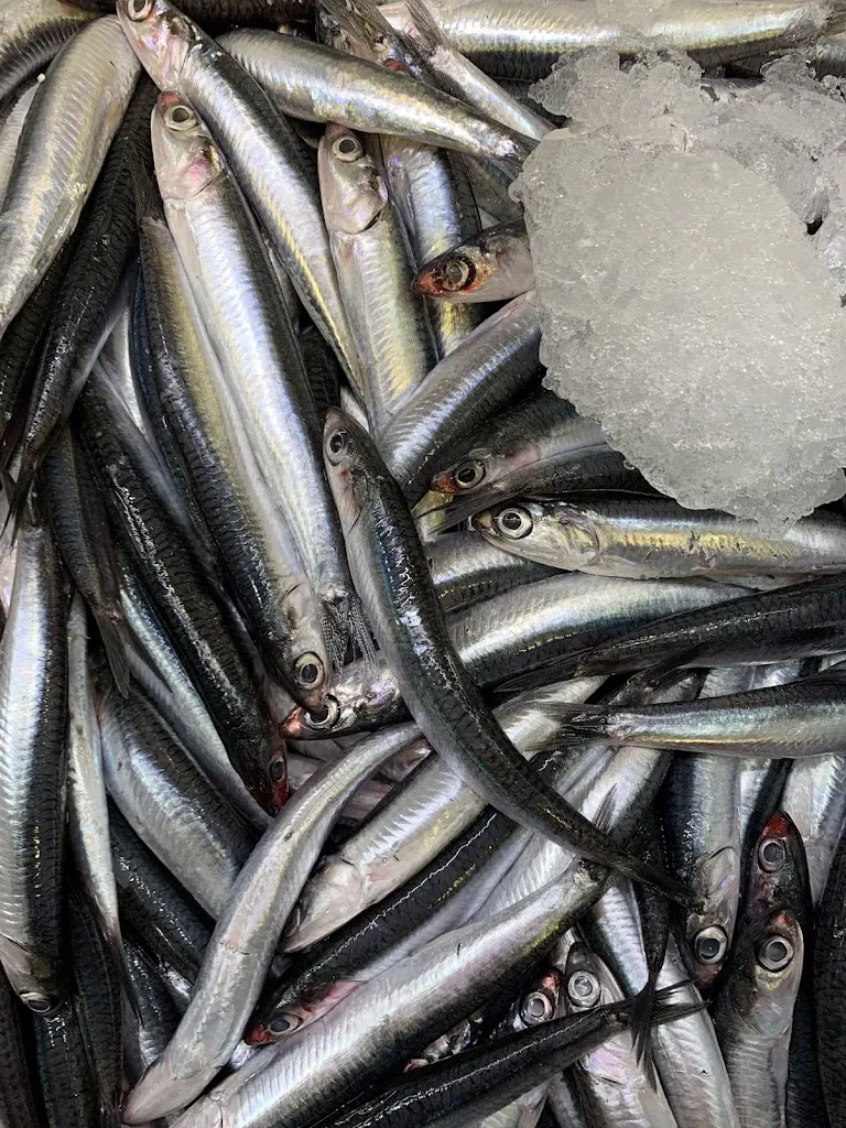 Menu_Non Solo Pesce_Vicarello_image_5