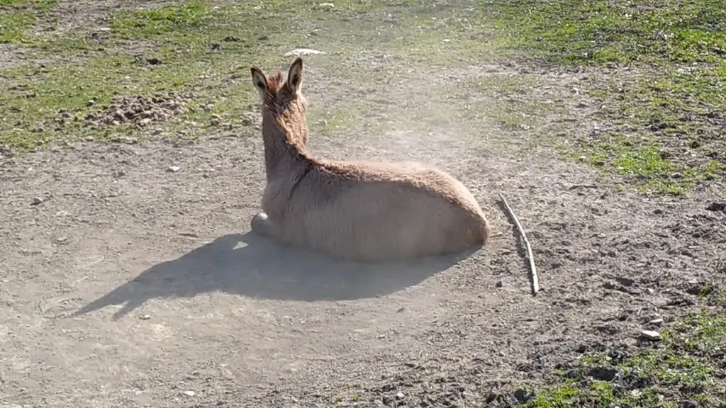 Agriturismo Pane Olio_Villa Collemandina_slider_image_2