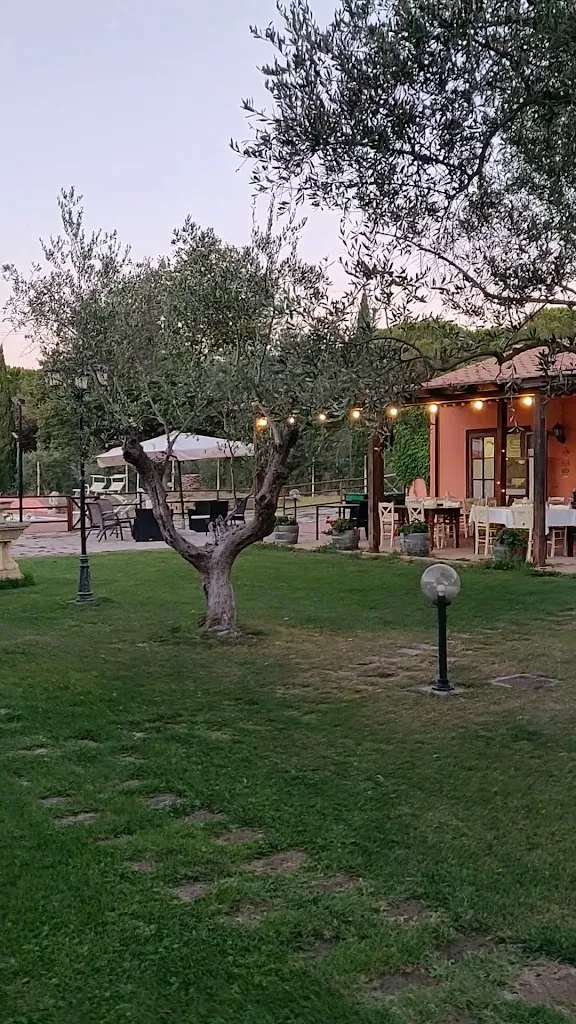 Azienda Agricola Brancatelli Srl_Vignale Riotorto_slider_image_2