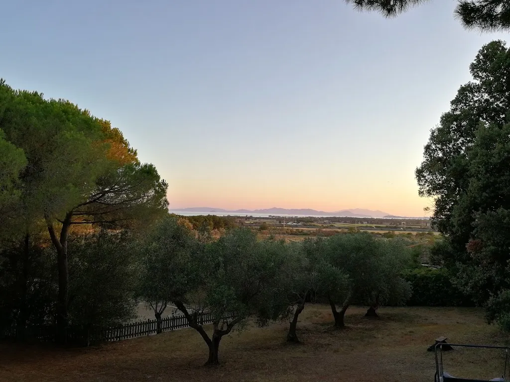 Stefano Prandi_Tenuta di Vignale_Vignale Riotorto_review