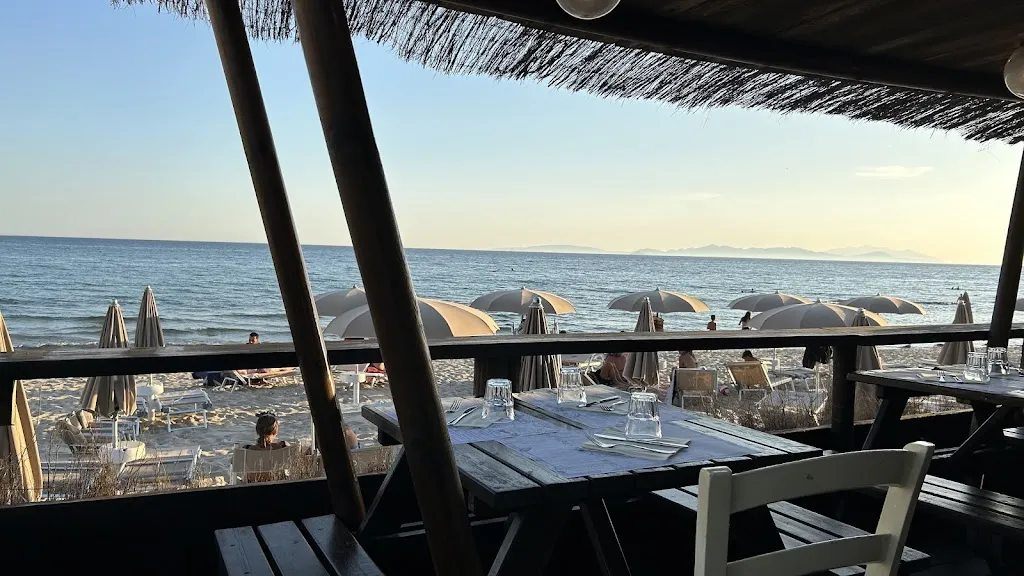 Michael Krause_Mirollino Beach_Vignale Riotorto_review