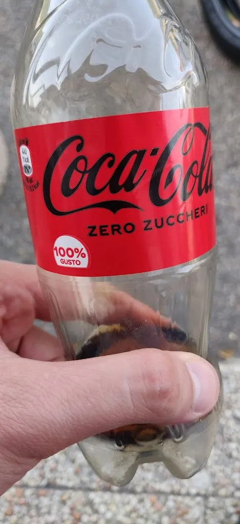 Menu_Autogrill Acquasparta_Acquasparta_image_2