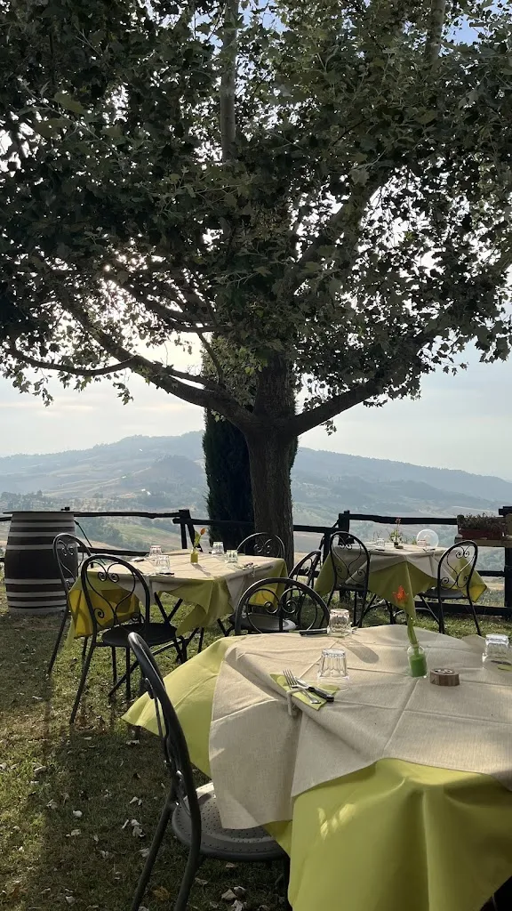 Alex Hatfield_Osteria Villa Felice_Volterra_review