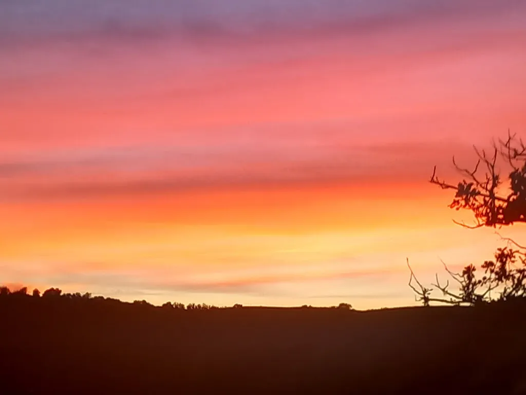 Agriturismo La Vite E L'ulivo_Baschi_slider_image_3