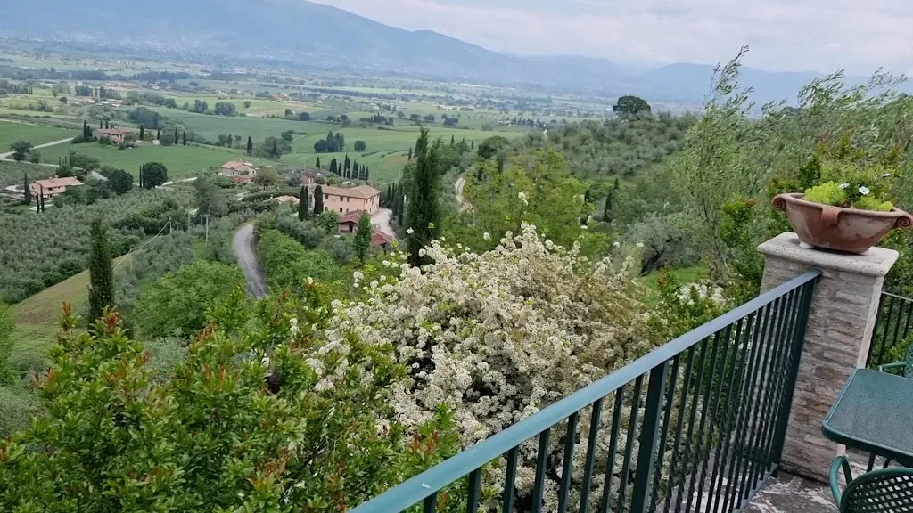 Il Poggio degli Olivi_Bettona_slider_image_2