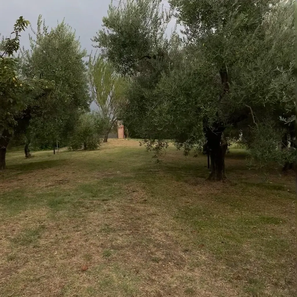 Silvia Laurenzi_Ristorante Tenuta San Savino delle Rocchette_Calvi dell'Umbria_review