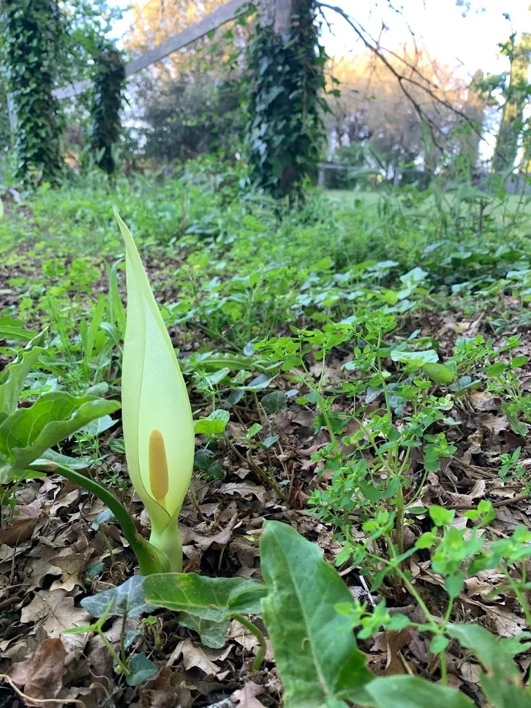 Ruth McIntosh_Tenuta Sant'Andrea - Agriturismo nel Salento_Muro Leccese_recensione