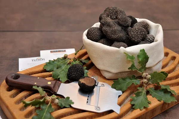 Tuber Experience_Campello sul Clitunno_slider_image_3