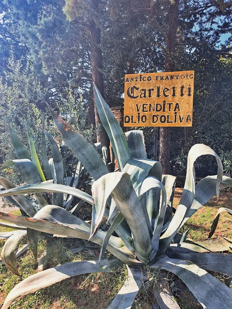 Alexandra Ewald_Antico Frantoio Carletti_Campello sul Clitunno_review