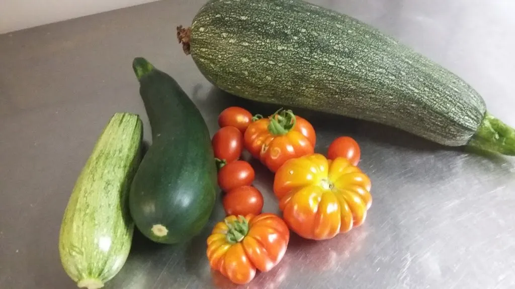 Menu_Ristorante Pizzeria GLI OLMI2_Campello sul Clitunno_image_9