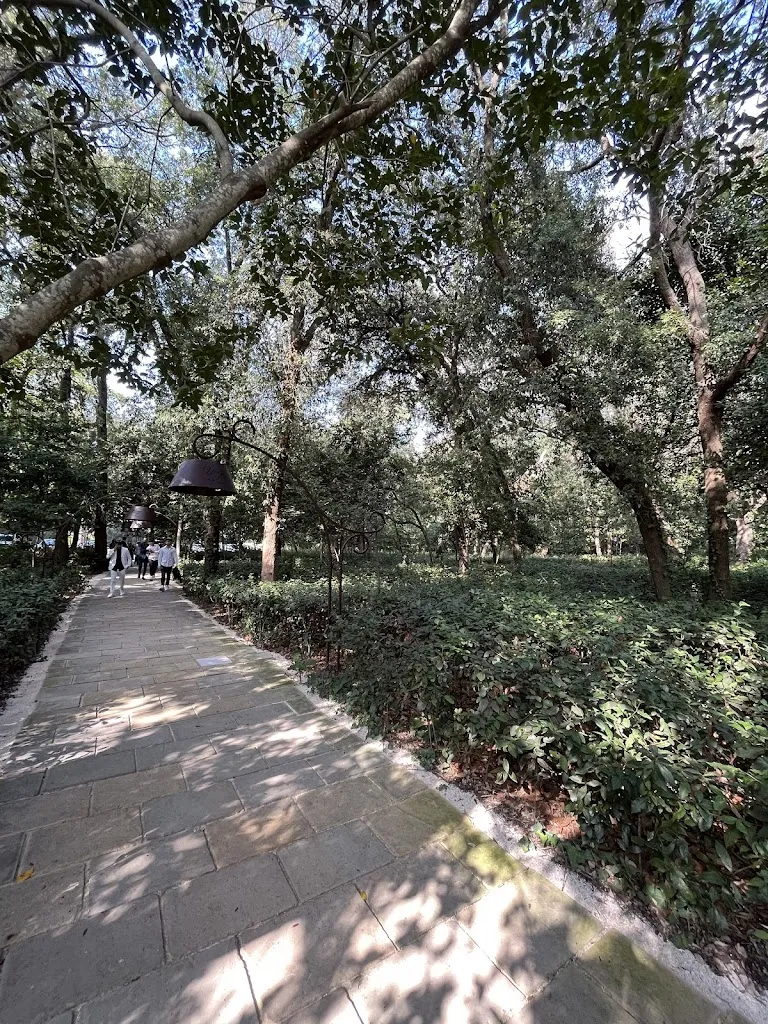 Andrea Salvio_Villa Zaira Tenuta le Franite_Muro Leccese_review