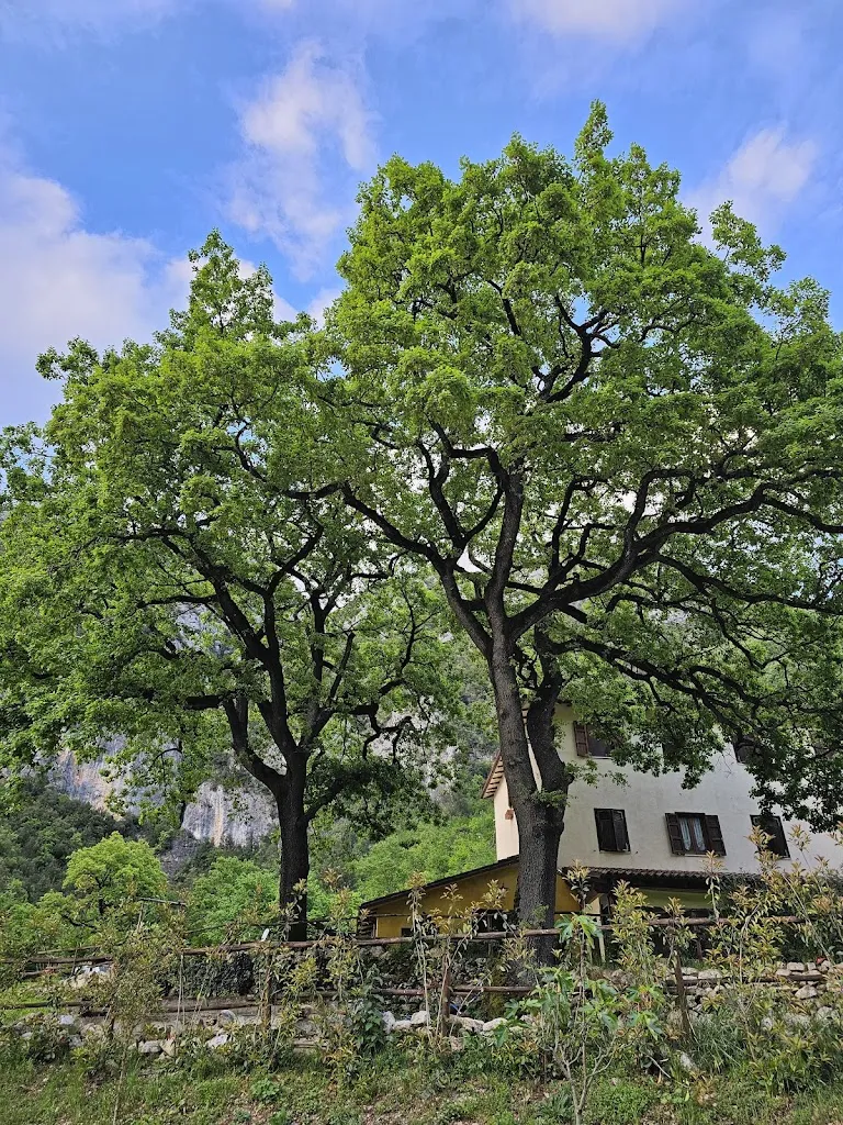 Anna Szczurowska_Agriturismo Le Due Querce_Cerreto di Spoleto_recensione
