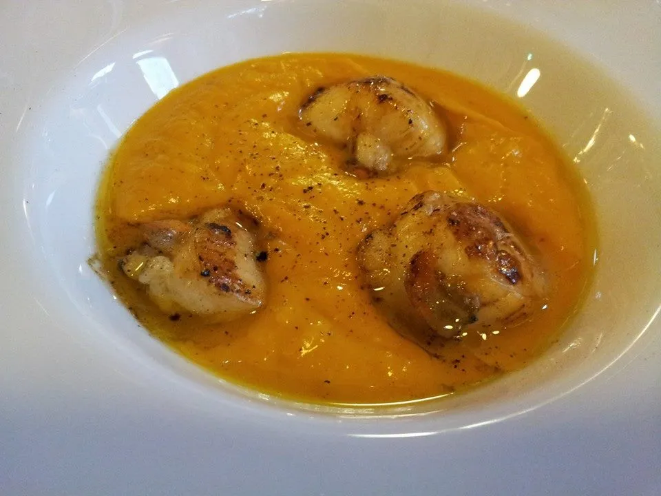 Labrador Kiko_Trattoria 