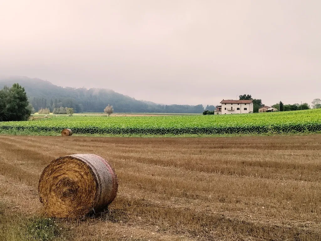 Adi Rabinowitz- Bedein_Agriturismo Podere Casenove_Citerna_review