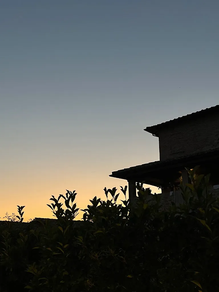 Toon van Schijndel_Le Fate Ignoranti_Chiugiana-La Commenda_review