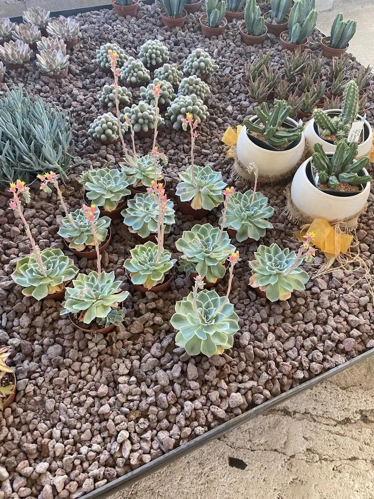 Maeve Kerr_La Casa di Francesca_Castiglione del Lago_review