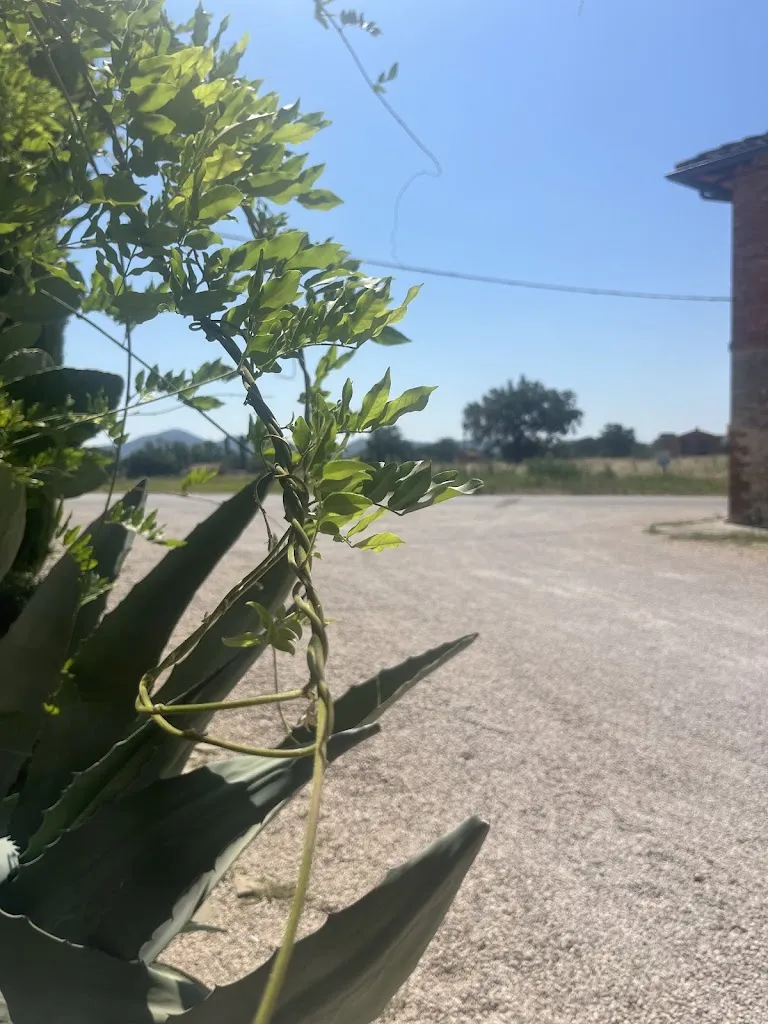 Michele Barraco_Locanda del Principato_Castiglione del Lago_review