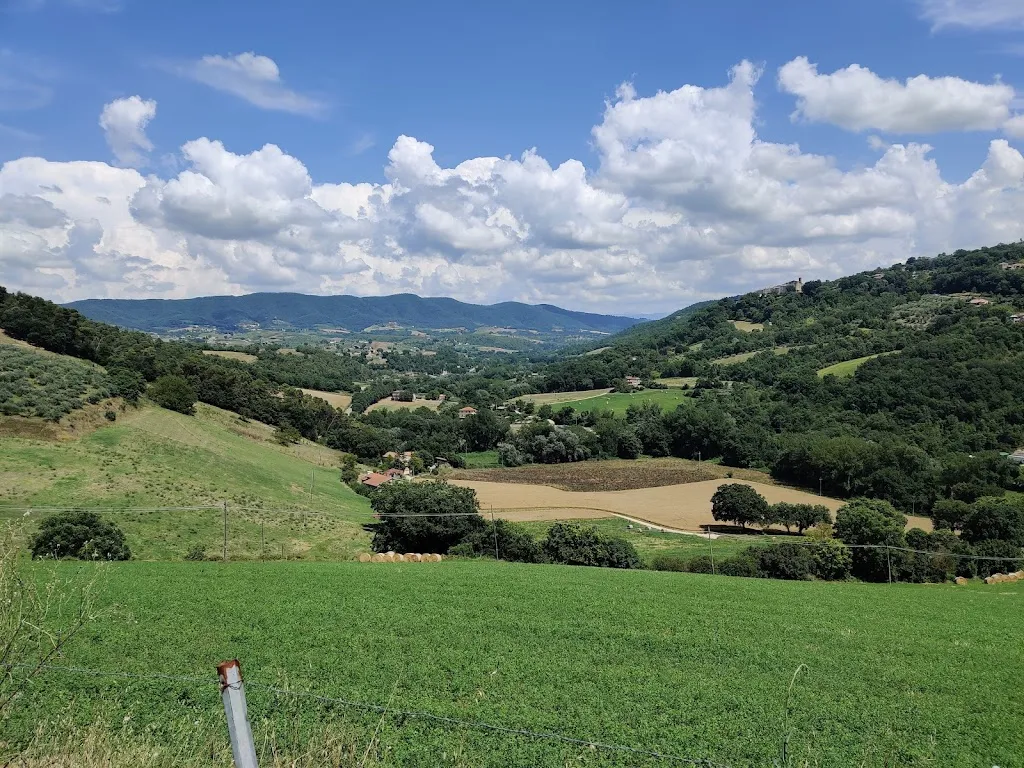 Martti Koivisto_Ristorante Fattoria Luchetti_Collazzone_review