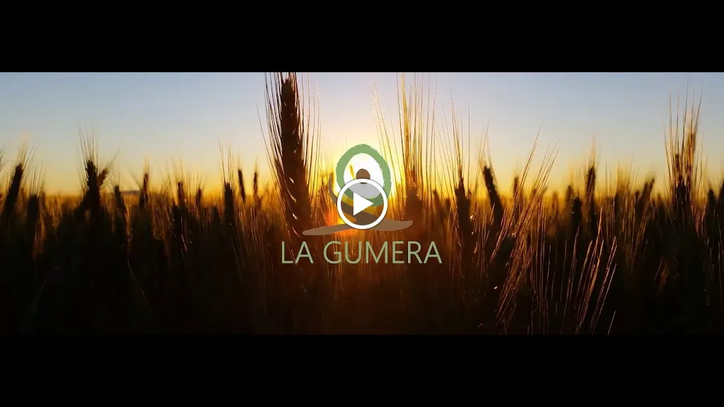 La Gumera food experience_Ficulle_slider_image_2