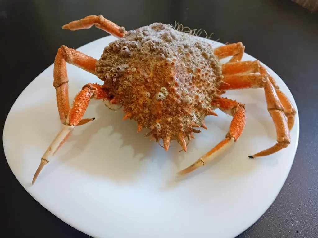 Menu_Bettola Osteria El Gaucho_Fabro_immagine_7