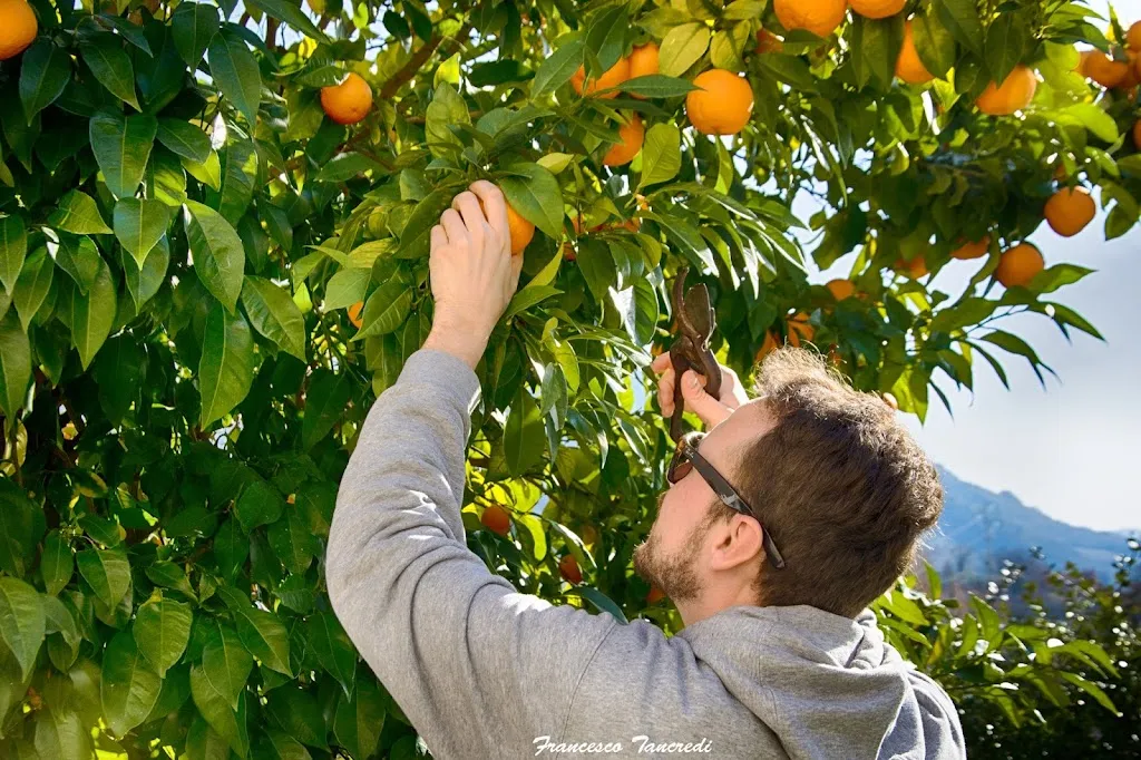 La Drupa Azienda Agrituristica restaurant in Ferentillo