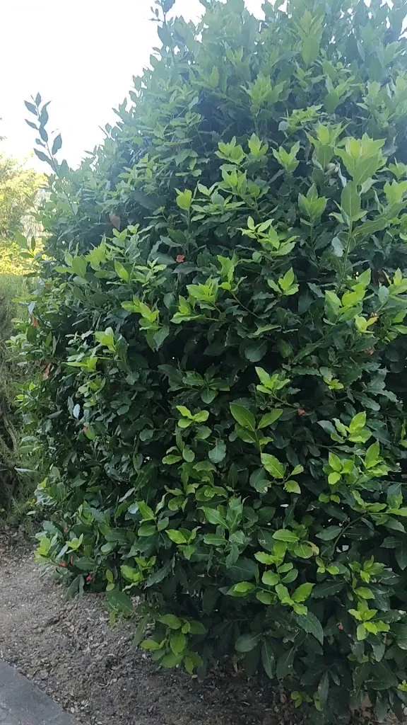 Agriturismo, ristorante “Poggio delle Rocche