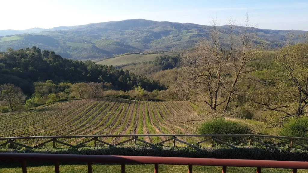 פלג שחר_Fattoria di Monticello_Fratta Todina_review