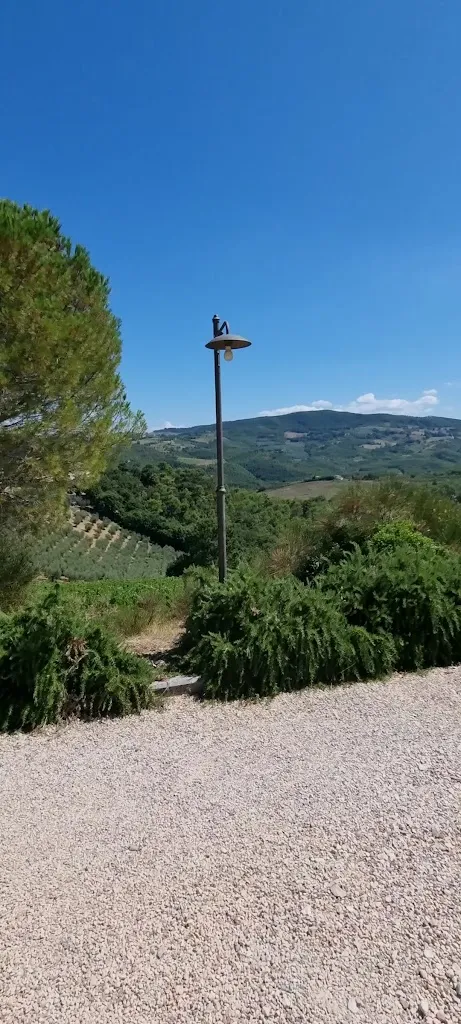 Fattoria di Monticello_Fratta Todina_slider_image_2