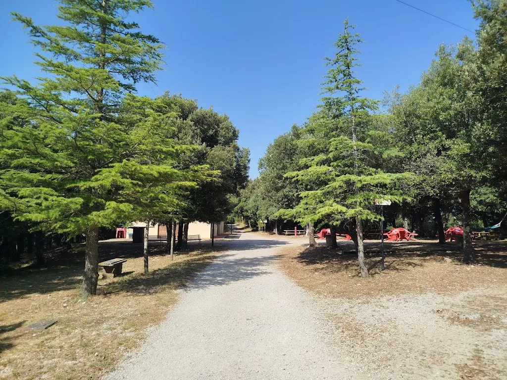 Giovanni “Juan” D'Elia_La Pineta_Guardea_review