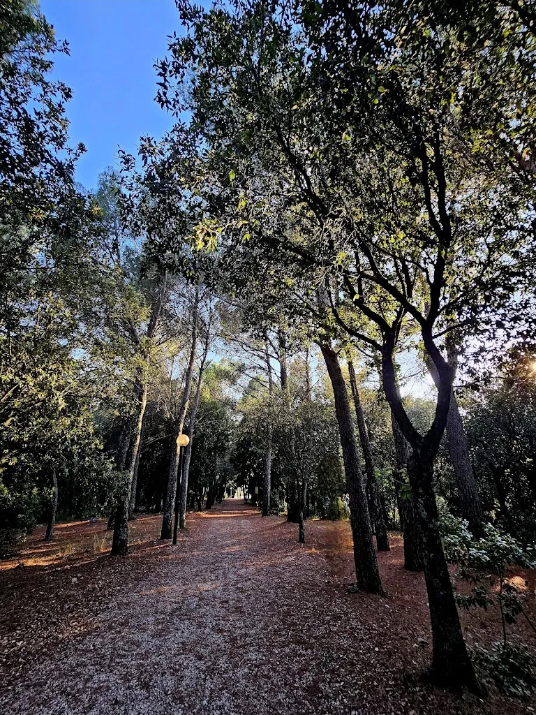 La Pineta_Guardea_slider_image_2