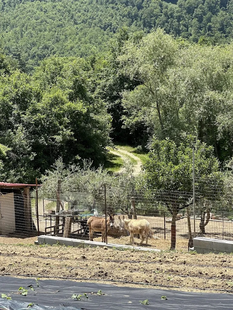 Agnes Salim_Ristorante Marilena la Casella_Lisciano Niccone_review